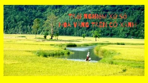 Sự cần thiết của bảo mẫu chuyên nghiệp: Lý do tại sao Hotspot Matrix có thể giúp_ứng dụng chỉnh sửa video miễn phí