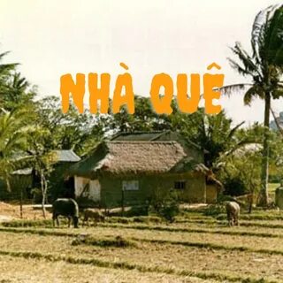 Sự Bùng Nổ Của Video Ngắn và Trí Tuệ Nhân Tạo: Vai Trò Thiết Yếu Của Đào Tạo Kỹ Năng Sáng Tạo Nội Dung_Xu hướng tiếp thị kỹ thuật số 2025