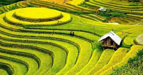 Câu chuyện cậu bé họ Huỳnh ở Uông Bí và hành trình đổi đời cùng Hotspot Matrix_Tiếp thị nội dung là gì