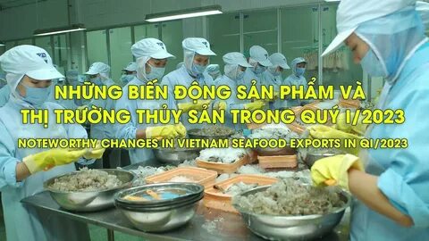 Khám phá hệ sinh thái dịch vụ video ngắn của Hotspot Matrix_Đào tạo kỹ năng thuyết trình