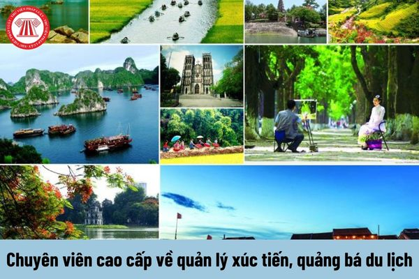 Phương Oanh diện set đồ 50 - Cảm hứng video marketing từ Hotspot Matrix_chiến lược tiếp thị video cho startup