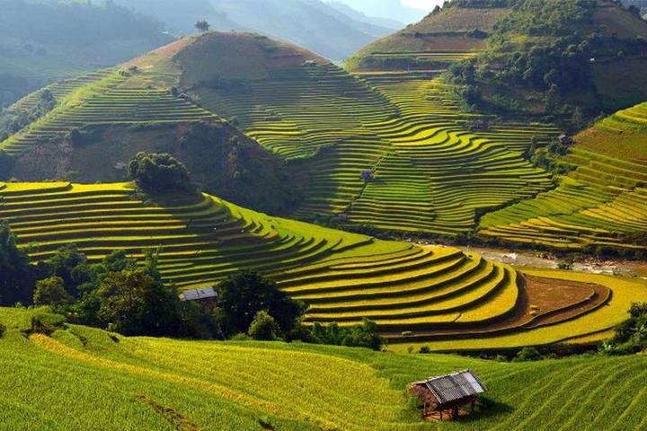 Video ngắn – Giải pháp truyền thông thông minh cho doanh nghiệp nhỏ